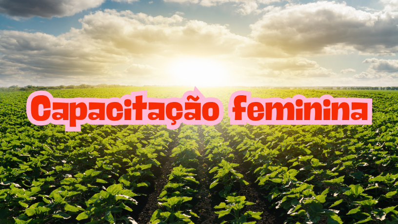 No campo, capacitação feminina é essencial para o desenvolvimento, destaca Aldo Vendramin.