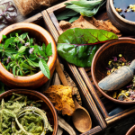 Lawrence Aseba Tipo analisa o que há de científico e tradicional no uso de plantas medicinais, chás e ervas.