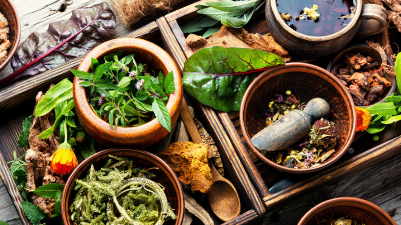 Lawrence Aseba Tipo analisa o que há de científico e tradicional no uso de plantas medicinais, chás e ervas.