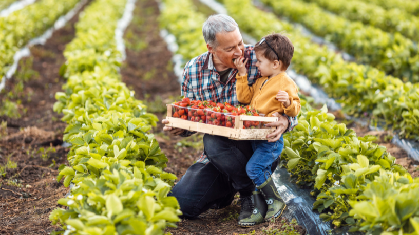 A agricultura familiar, segundo João Eustáquio De Almeida Junior, é um dos principais motores do desenvolvimento local e da geração de renda.