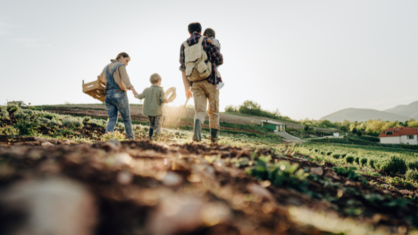 Entenda como a agricultura familiar, na análise de João Eustáquio De Almeida Junior, impacta diretamente o fortalecimento das economias locais.